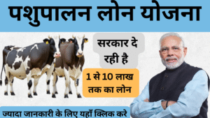 Pashupalan Loan Yojana 2025